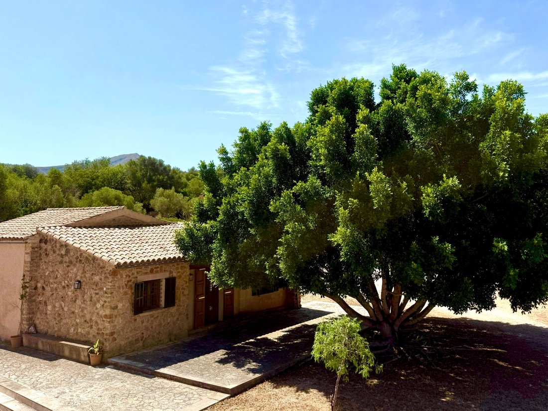 Estate in Arta, Balearic Islands, Spain 3 - 18455349