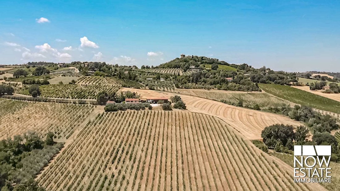 Farm Ranch in Terra del Sole, Emilia-Romagna, Italy 2 - 18472156