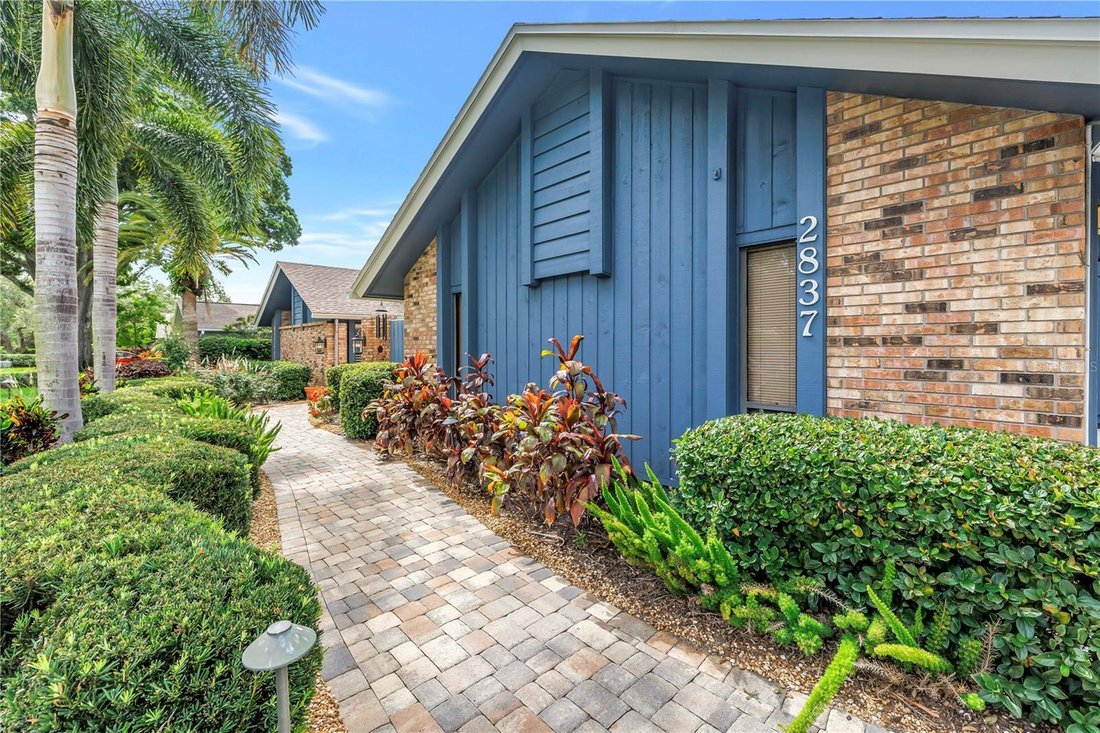 House in Clearwater, Florida, United States 4 - 18468511