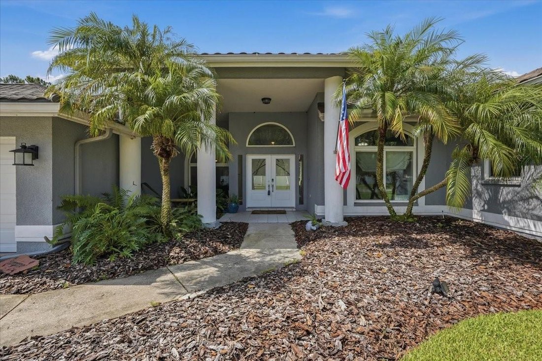House in Odessa, Florida, United States 3 - 18100741