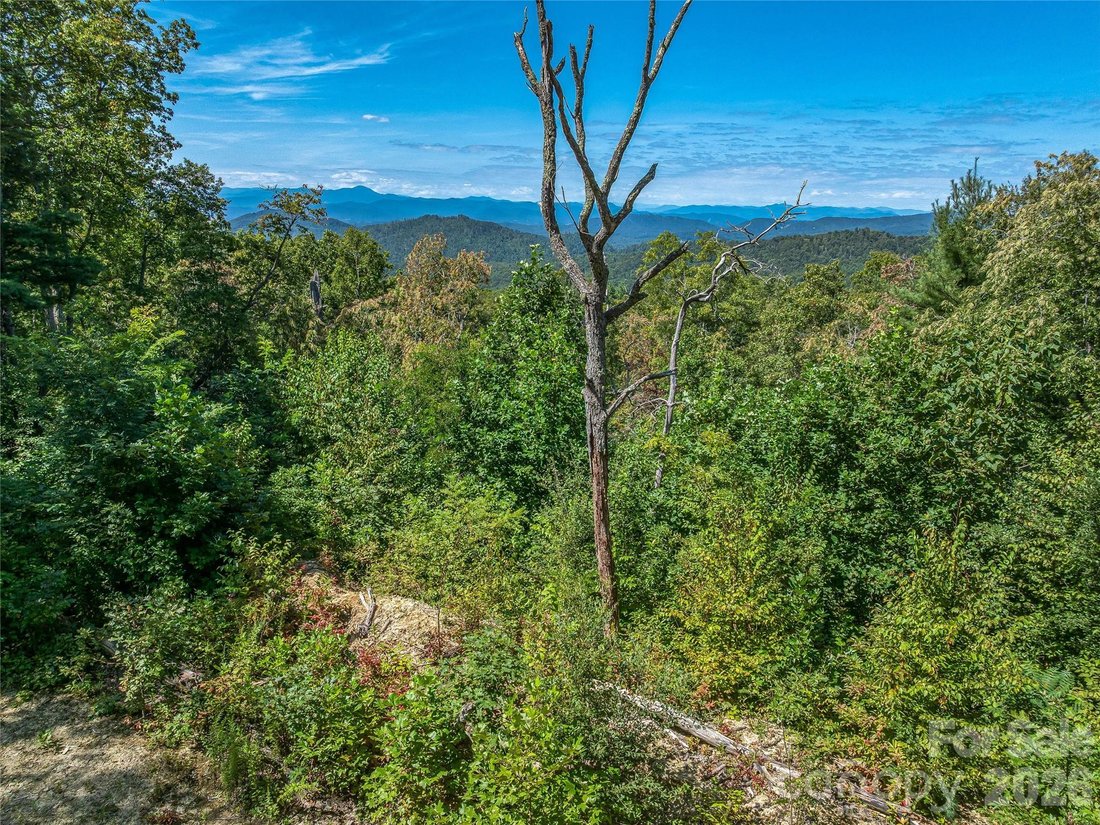 Land in Fairview, North Carolina, United States 4 - 18460006