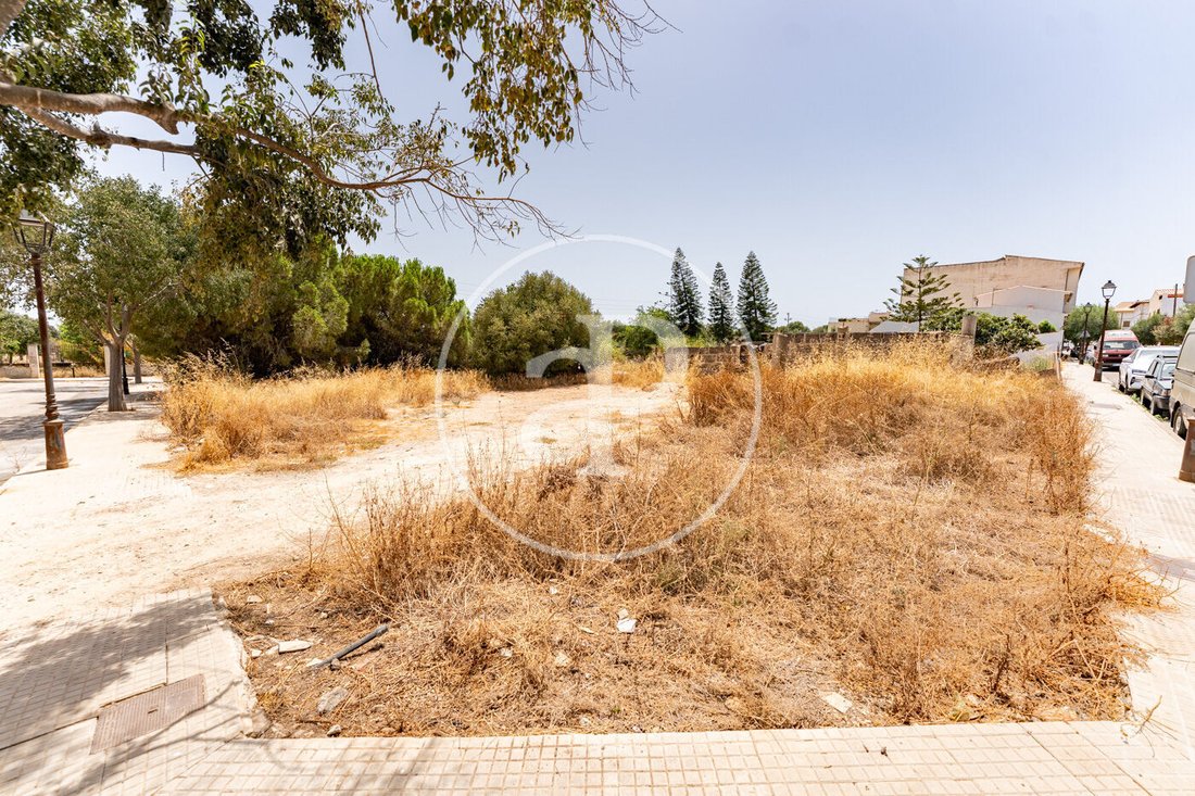 Terreno a Binissalem, Isole Baleari, Spagna 2 - 18467738