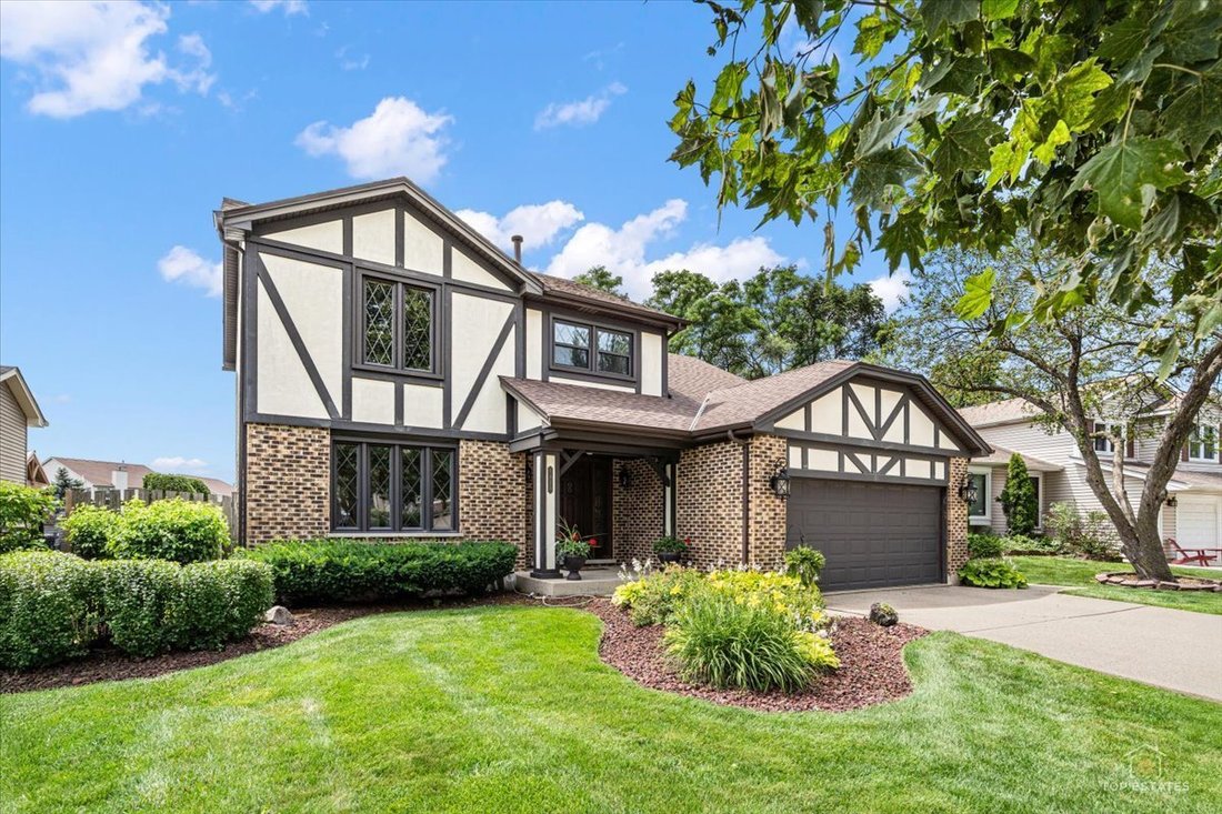 House in Elk Grove Village, Illinois, United States 2 - 18459523
