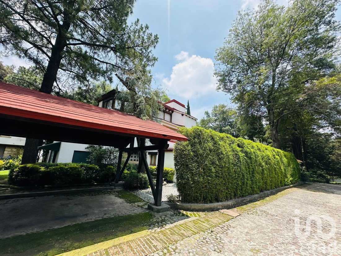 House in Mexico City, Mexico 2 - 18469671