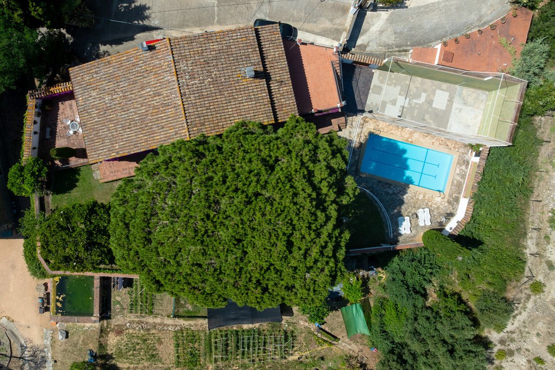 House in Premia de Dalt, Catalonia, Spain 4 - 18471914