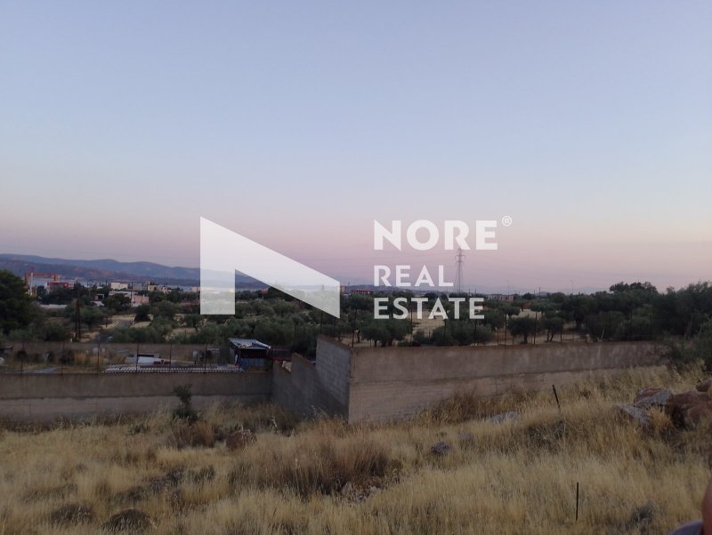 Land in Megara, Attica, Greece 2 - 18469148
