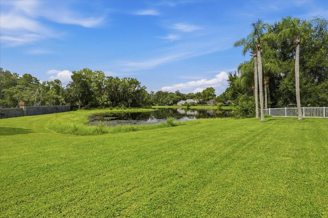 House in Odessa, Florida, United States 4 - 18100741