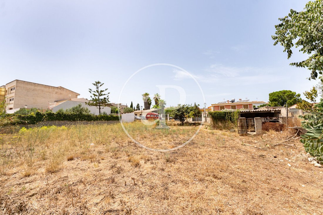 Terreno a Binissalem, Isole Baleari, Spagna 5 - 18467738