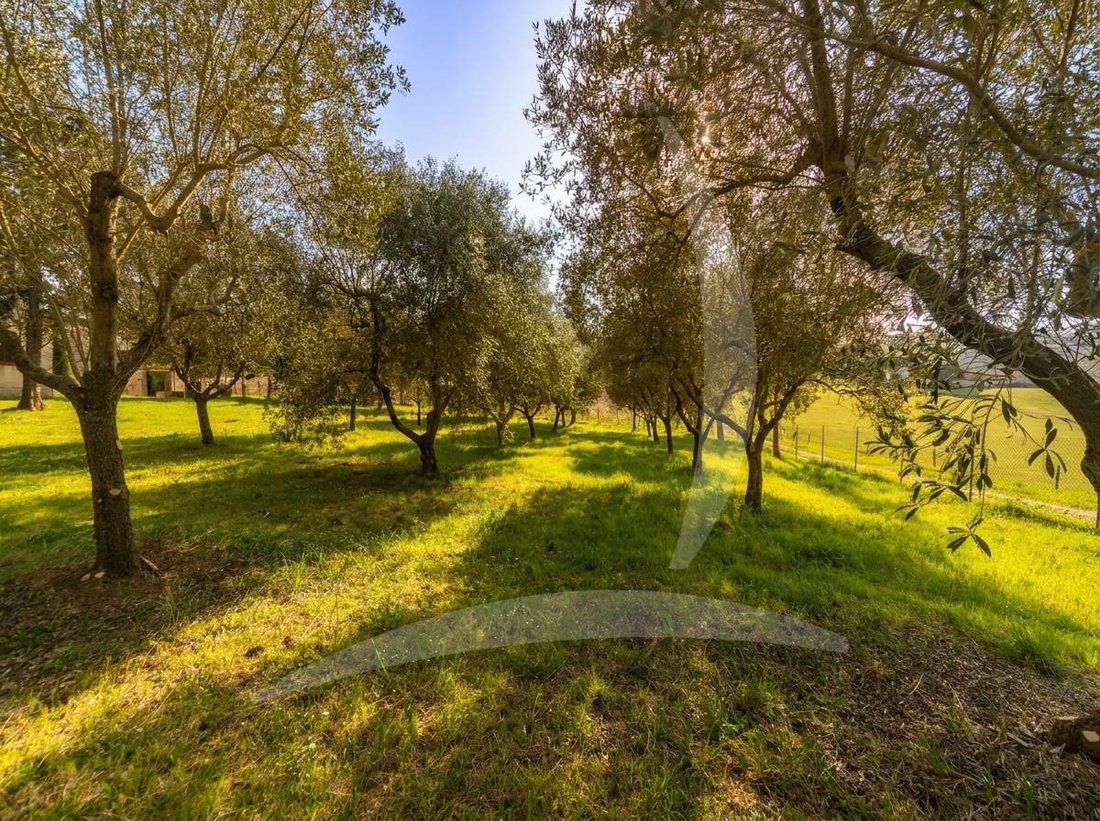 Altro a Cinigiano, Toscana, Italia 4 - 18460593