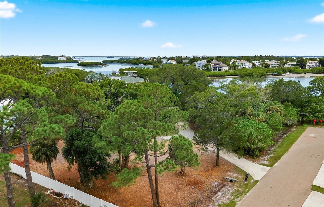 Land in Palm Harbor, Florida, United States 3 - 18459989