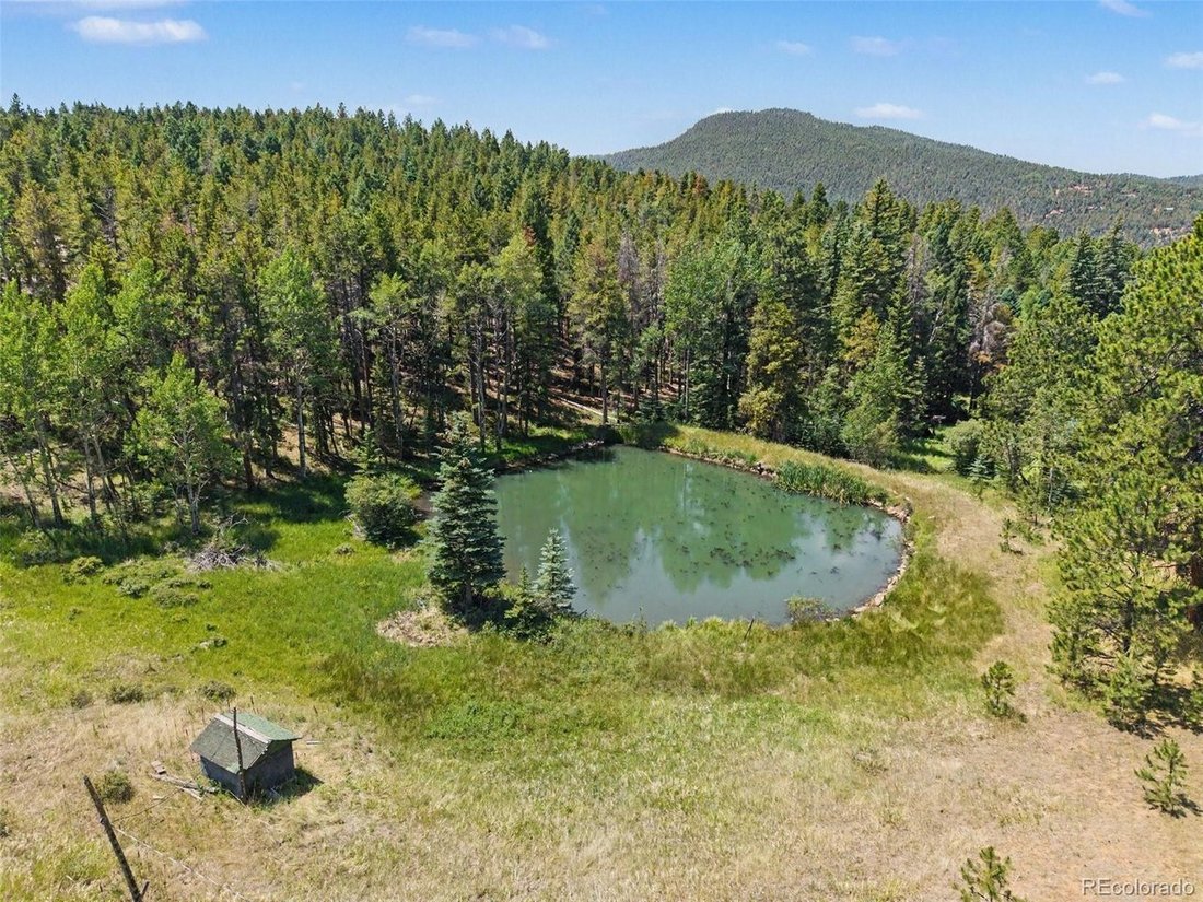 House in Littleton, Colorado, United States 3 - 18463820