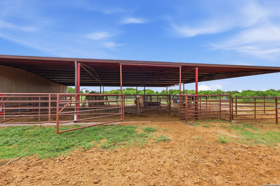Farm Ranch in La Vernia, Texas, United States 3 - 18470740