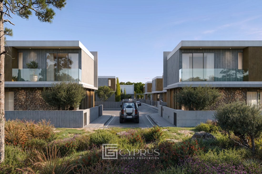 Villa in Ayia Marinouda, Paphos, Cyprus 3 - 18468318