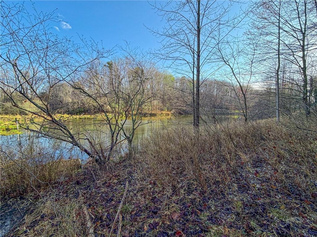 House in Cleveland, Georgia, United States 4 - 17613634