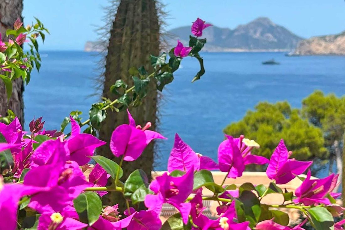 Villa in Port d'Andratx, Andratx, Balearic Islands 3 - 18458645