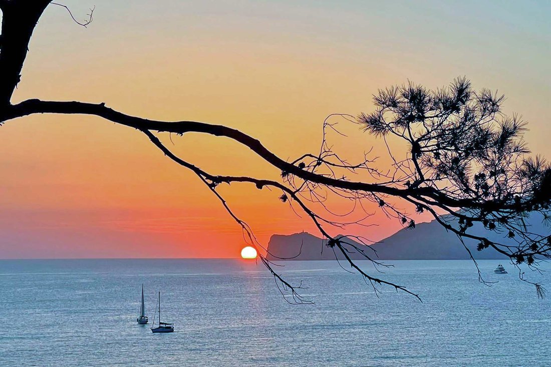 Villa in Port d'Andratx, Andratx, Balearic Islands 5 - 18458645