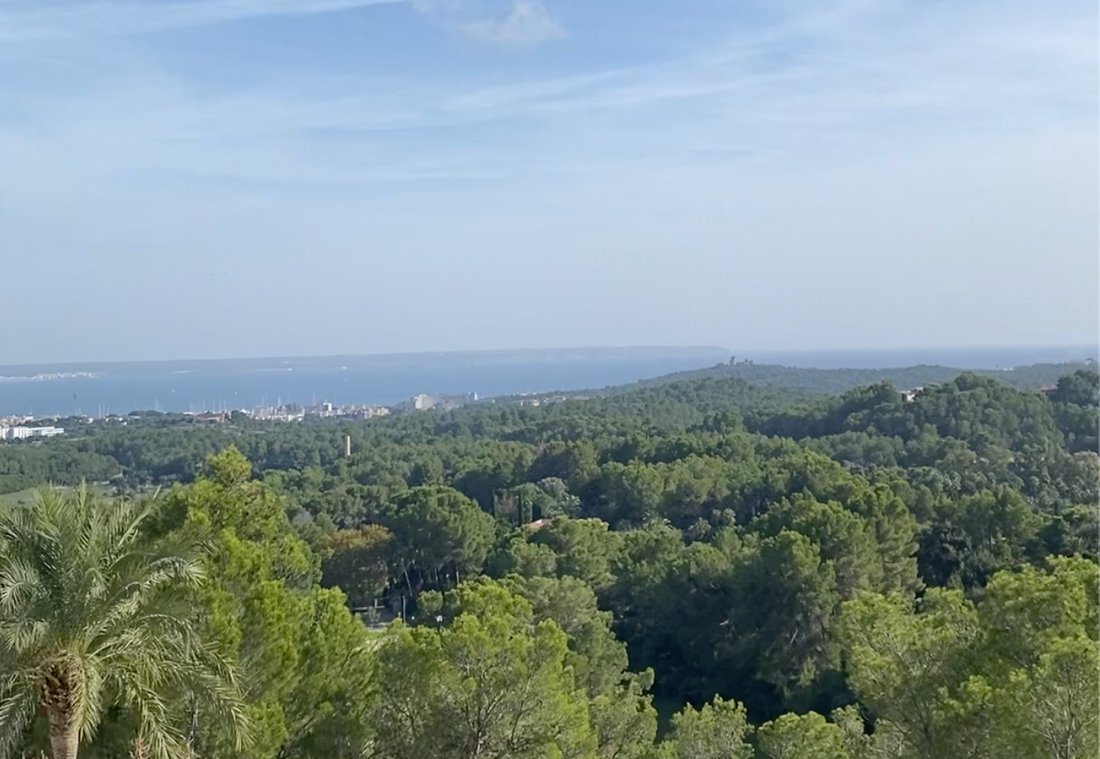 Villa a Son Vida, Palma di Maiorca, Isole Baleari 1 - 13602807