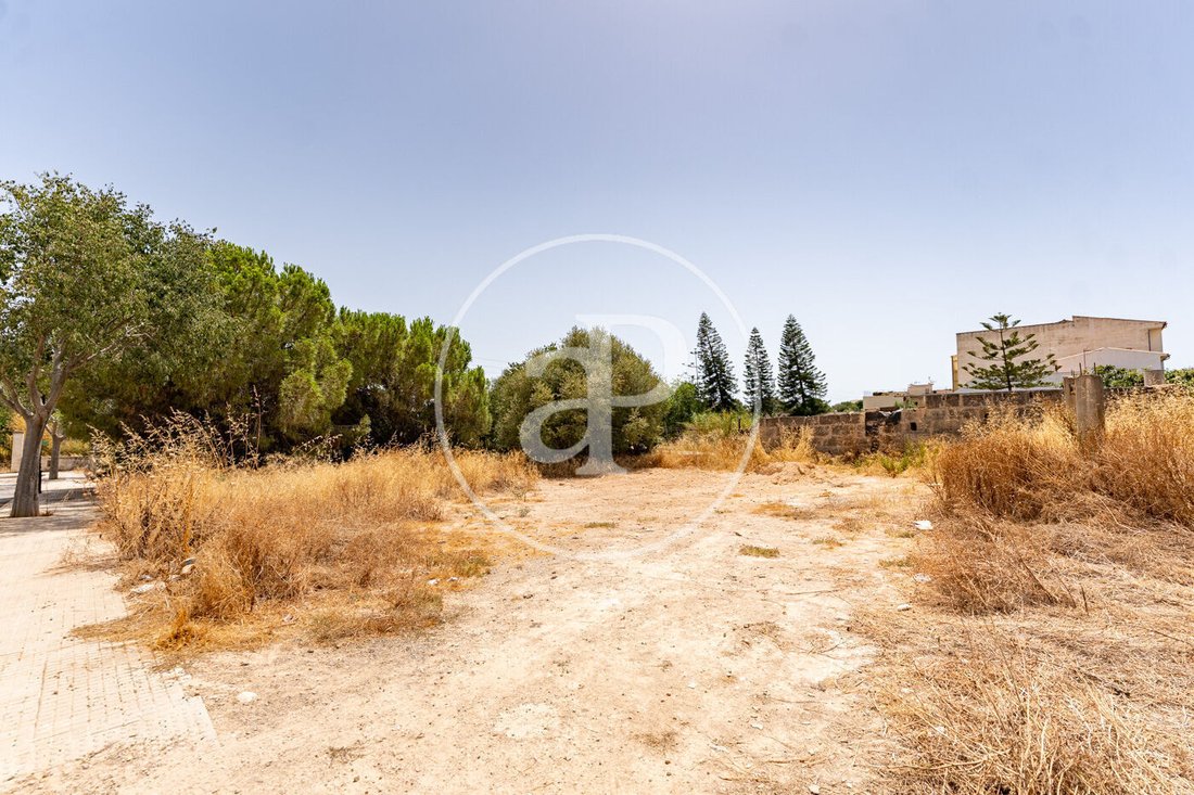 Terreno a Binissalem, Isole Baleari, Spagna 3 - 18467738