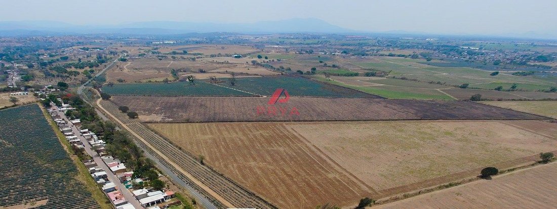 Farm Ranch in Santa Cruz del Astillero, Jalisco, Mexico 2 - 18460124