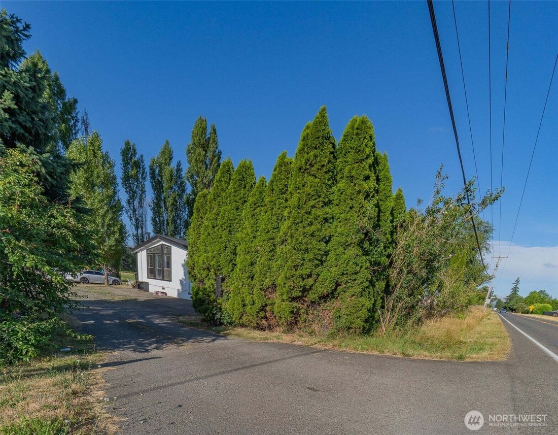 Rochester, Washington, United States 4 - 18457487