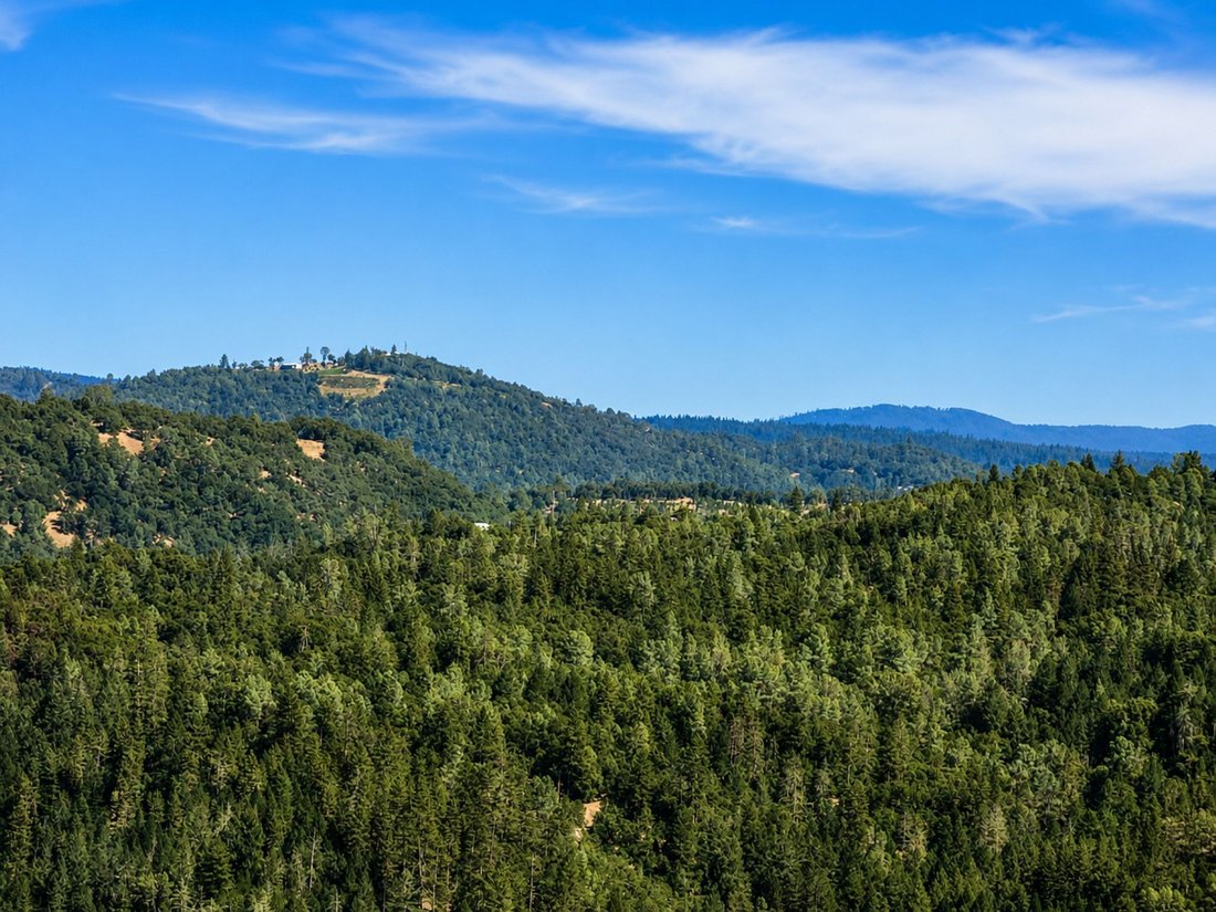 Diamond Springs, California, United States 4 - 18464341