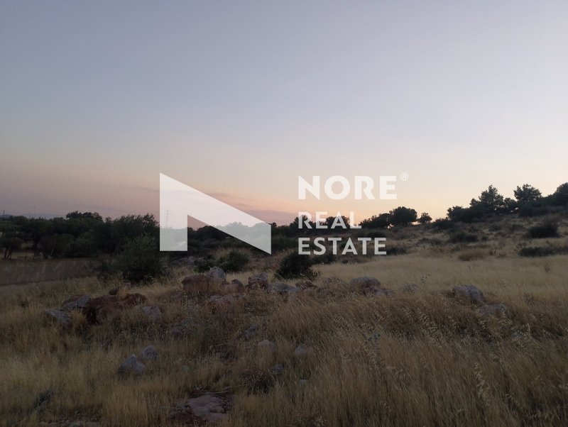 Land in Megara, Attica, Greece 1 - 18469148