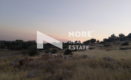 Terrain à Megara, Attique, Grèce 1