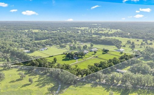 Land in Morriston, Florida, United States 1