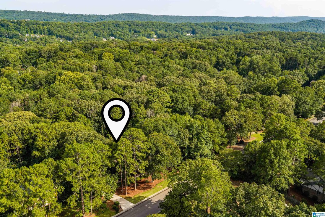 House in Vestavia Hills, Alabama, United States 5 - 18468915
