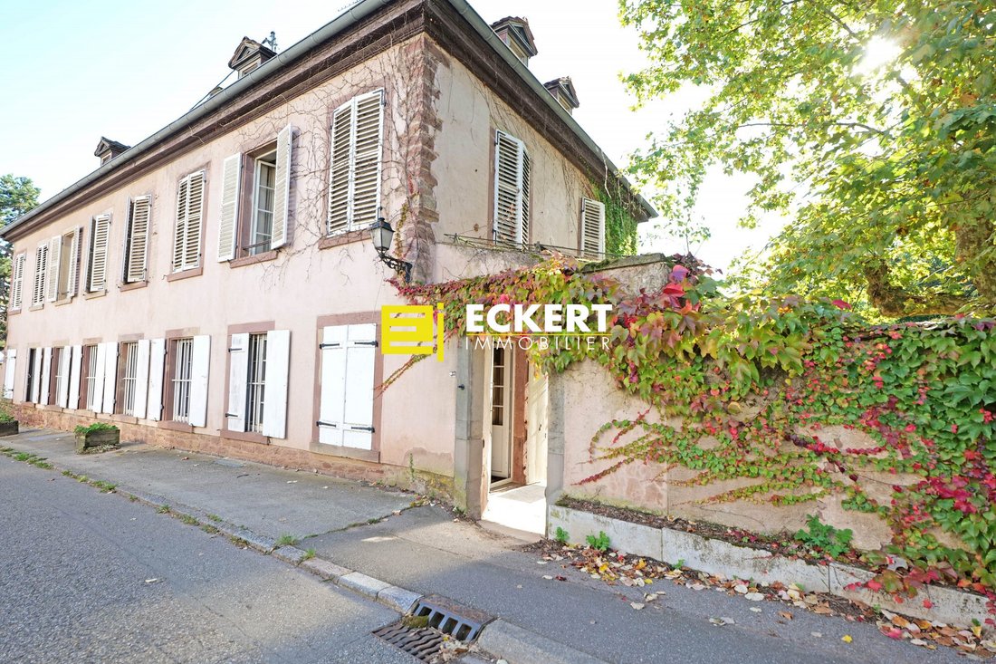 House in Wolxheim, Grand Est, France 5 - 18465458