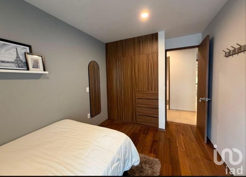 Apartment in Mexico City, Mexico 3 - 17075487