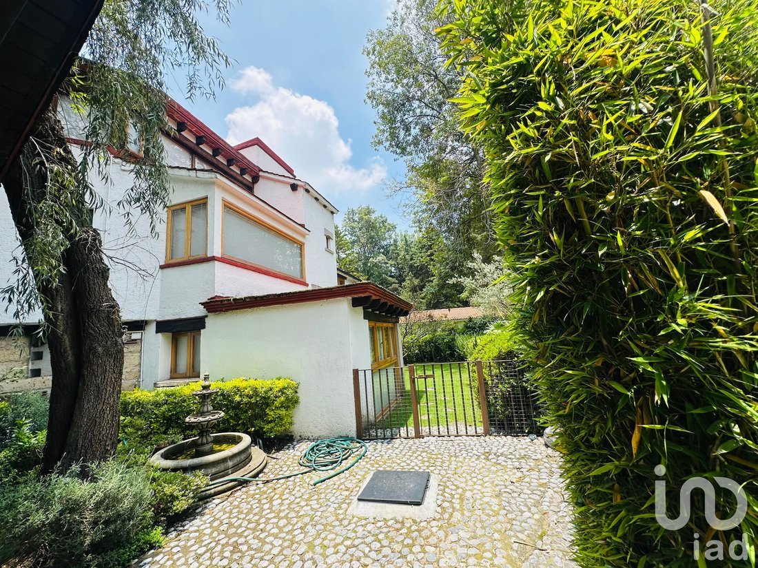 House in Mexico City, Mexico 1 - 18469671