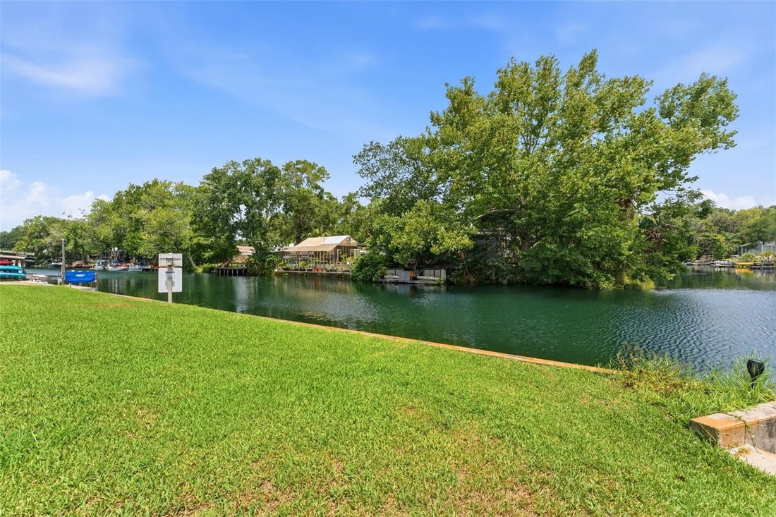 House in Spring Hill, Florida, United States 5 - 18466262
