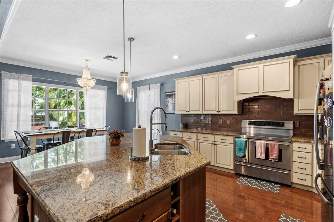 House in Tampa, Florida, United States 3 - 18455906