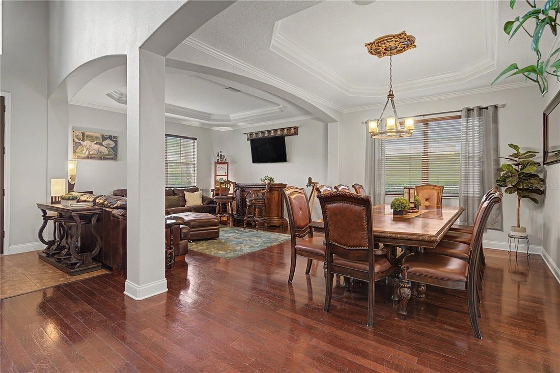 House in Land O' Lakes, Florida, United States 3 - 18468513
