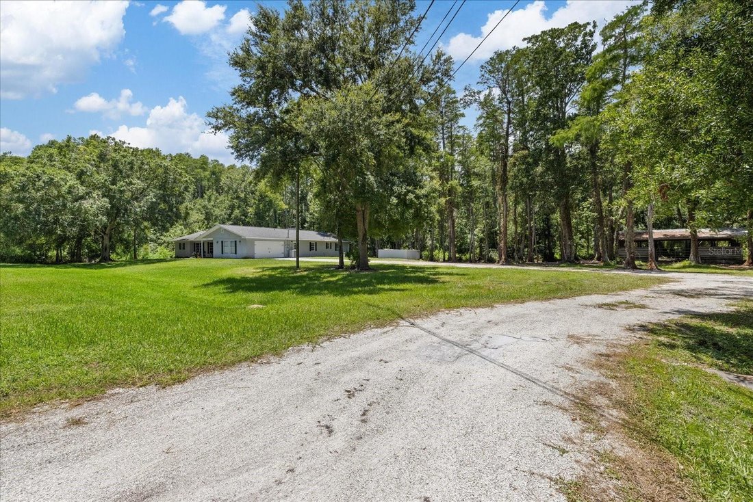 House in Tarpon Springs, Florida, United States 2 - 18466416