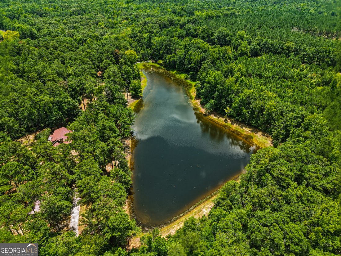 House in Buena Vista, Georgia, United States 3 - 18466197