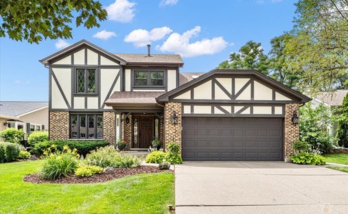 House in Elk Grove Village, Illinois, United States 1