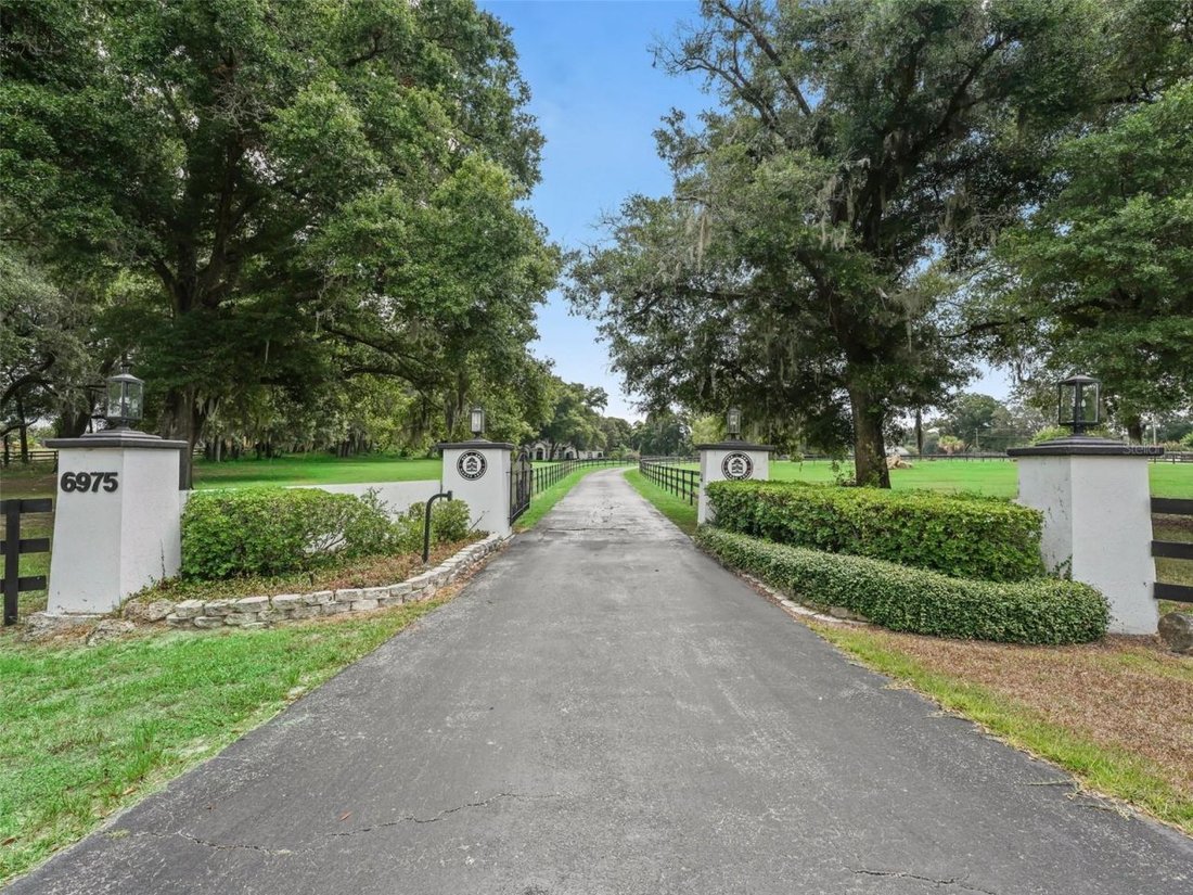 House in Ocala, Florida, United States 3 - 18465045