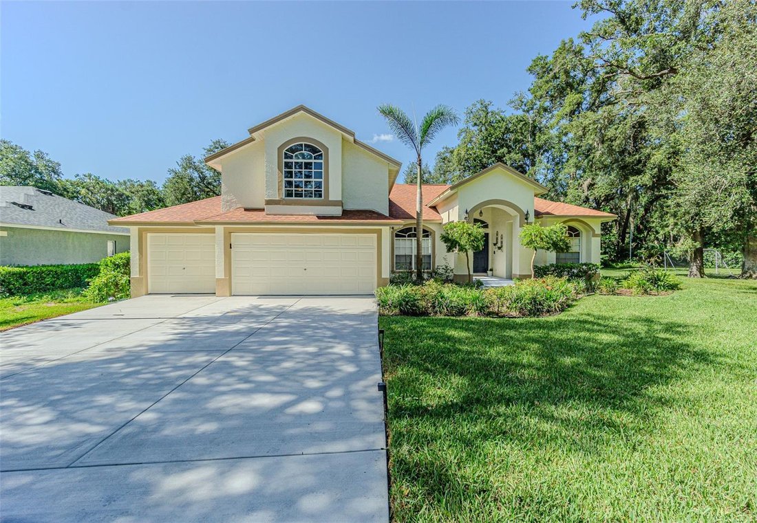 House in Lutz, Florida, United States 3 - 18468508
