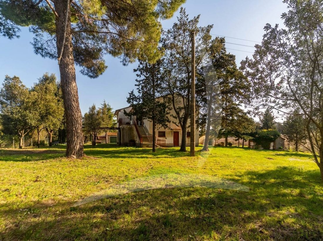 Altro a Cinigiano, Toscana, Italia 3 - 18460593