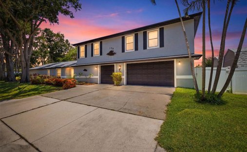 House in Palm Harbor, Florida, United States 1