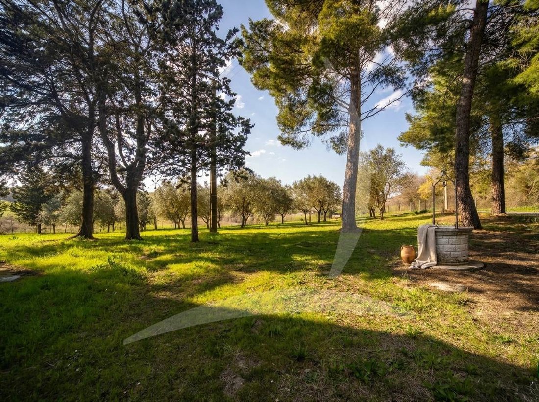 Altro a Cinigiano, Toscana, Italia 2 - 18460593