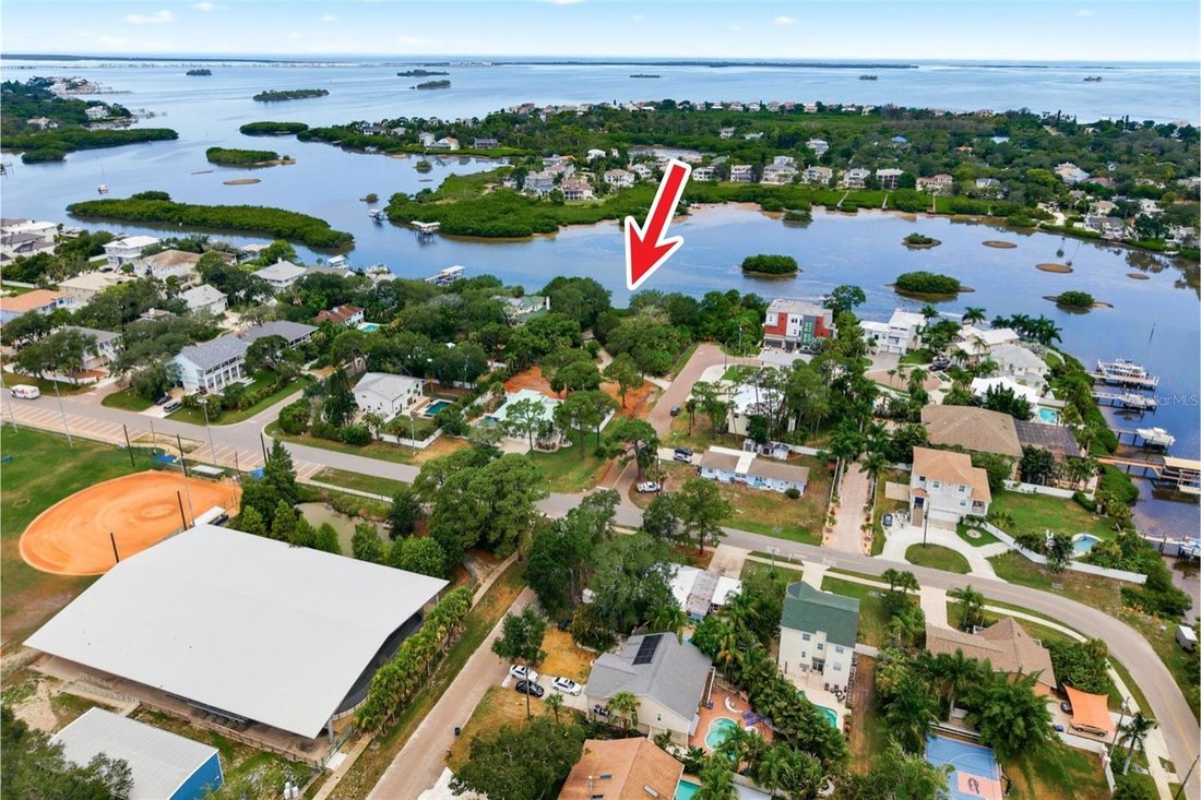 Land in Palm Harbor, Florida, United States 5 - 18459989