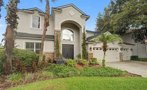 House in Land O' Lakes, Florida, United States 1