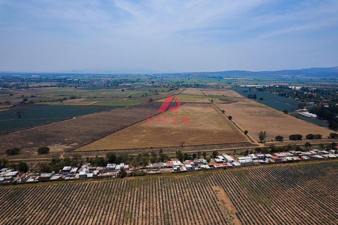 Farm Ranch in Santa Cruz del Astillero, Jalisco, Mexico 1 - 18460124