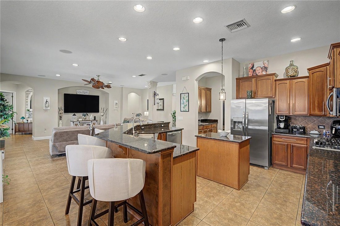 House in Land O' Lakes, Florida, United States 4 - 18468513