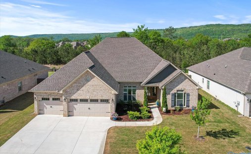House in Owens Cross Roads, Alabama, United States 1