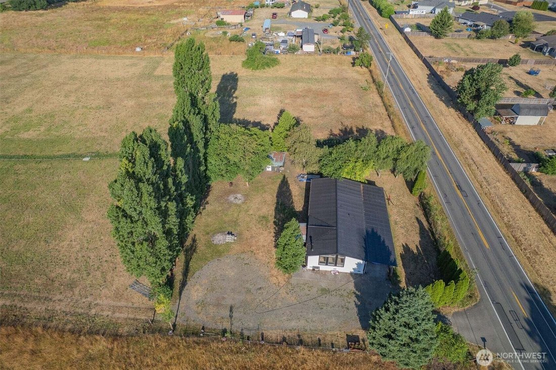 Rochester, Washington, United States 3 - 18457487