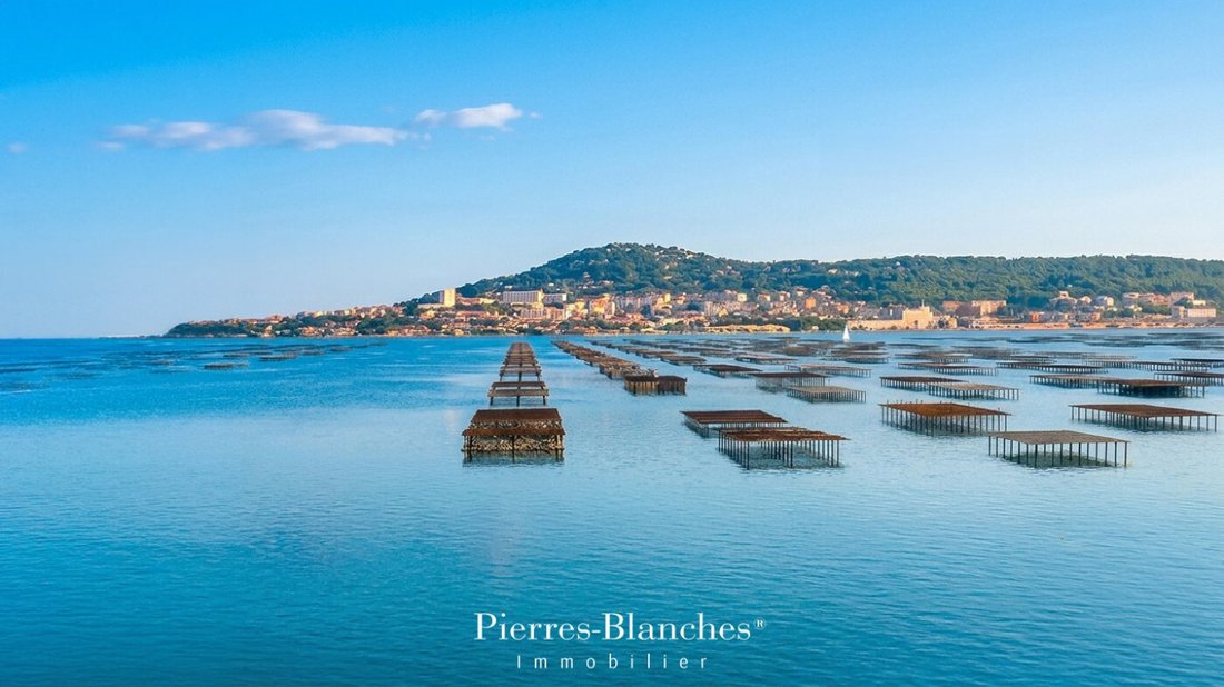 Land in Bouzigues, Occitania, France 1 - 18459215